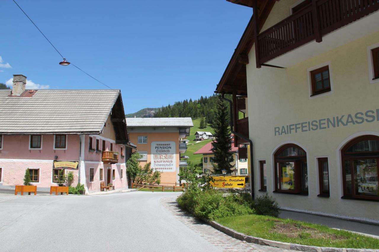 Apartments Gamsfeld Russbach am Pass Gschütt Buitenkant foto