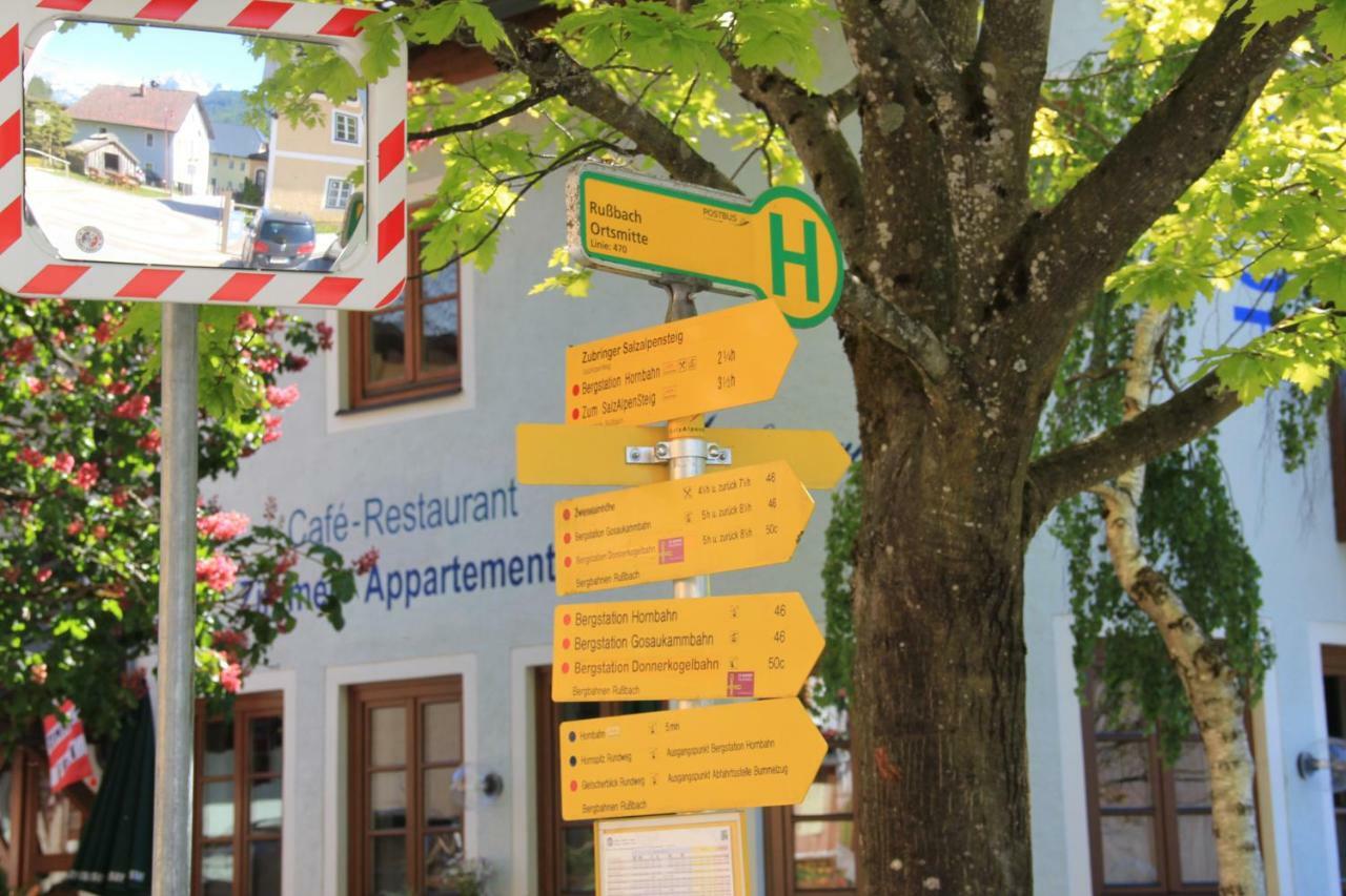 Apartments Gamsfeld Russbach am Pass Gschütt Buitenkant foto